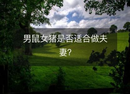男鼠女猪是否适合做夫妻?