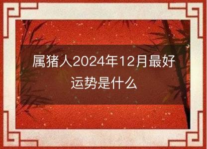 属猪人2024年12月最好运势是什么