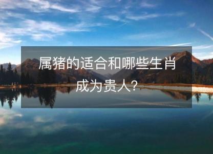 属猪的适合和哪些生肖成为贵人?