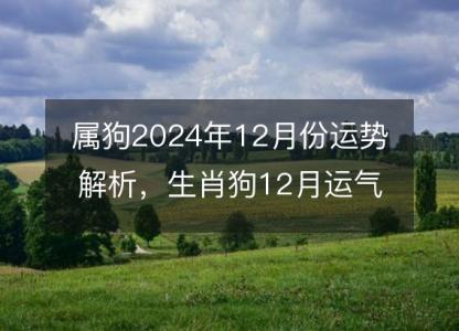 属狗2024年12月份运势解析,生肖狗12月运气好吗
