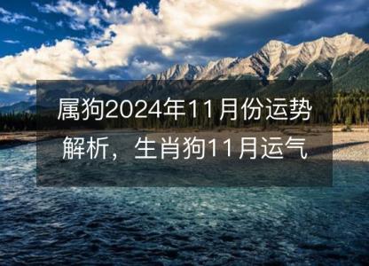 属狗2024年11月份运势解析,生肖狗11月运气好吗