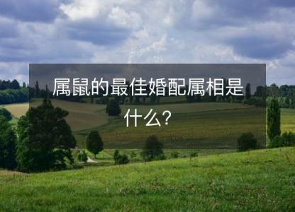 属鼠的最佳婚配属相是什么?