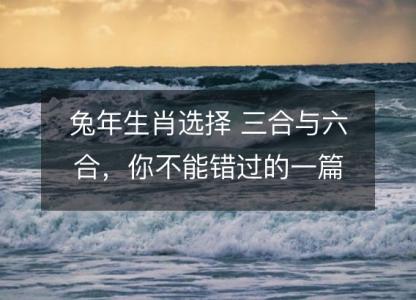 兔年生肖选择 三合与六合,你不能错过的一篇指南