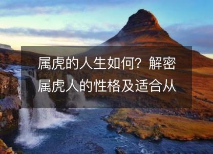 属虎的人生如何?解密属虎人的性格及适合从事的职业
