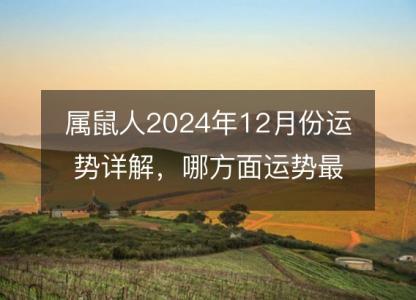 属鼠人2024年12月份运势详解,哪方面运势最好