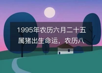1995年农历六月二十五属猪出生命运,农历八字五行缺不缺 性格特点