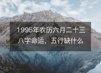 1995年农历六月二十三八字命运,五行缺什么 感情婚姻、性格、事业财运