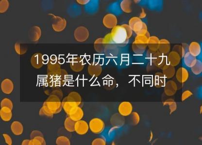 1995年农历六月二十九属猪是什么命,不同时辰八字五行查询