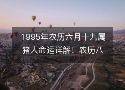 1995年农历六月十九属猪人命运详解!农历八字五行缺什么 婚姻事业