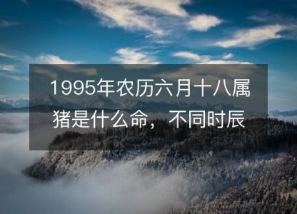 1995年农历六月十八属猪是什么命,不同时辰八字五行查询