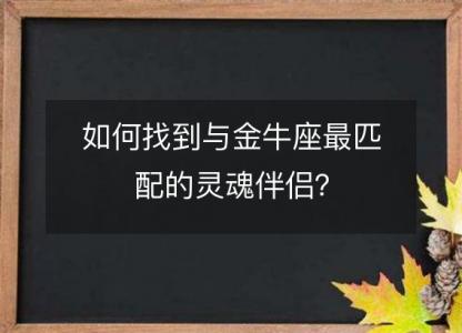 如何找到与金牛座最匹配的灵魂伴侣?