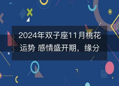 2024年双子座11月桃花运势 感情盛开期,缘分配对分析