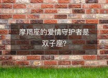 摩羯座的爱情守护者是双子座?
