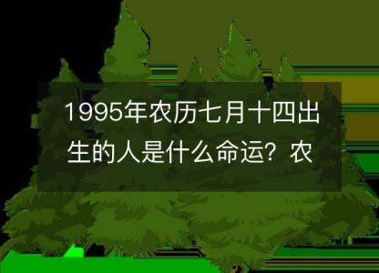 1995年农历七月十四出生的人是什么命运?农历生辰八字,事业,五行解析