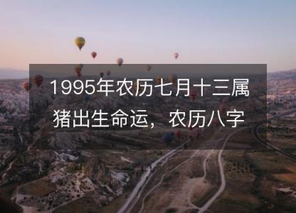 1995年农历七月十三属猪出生命运,农历八字五行缺不缺 性格特点