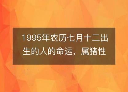1995年农历七月十二出生的人的命运,属猪性格特点 八字五行
