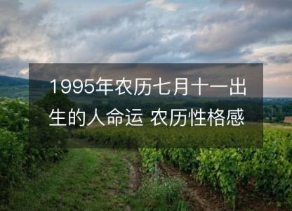 1995年农历七月十一出生的人命运 农历性格感情,事业财运详解