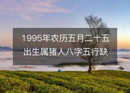 1995年农历五月二十五出生属猪人八字五行缺吗?命运、婚姻、性格、事业财运!