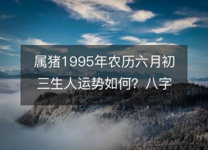 属猪1995年农历六月初三生人运势如何?八字命运五行缺吗!性格详解