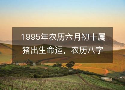1995年农历六月初十属猪出生命运,农历八字五行缺不缺 性格特点