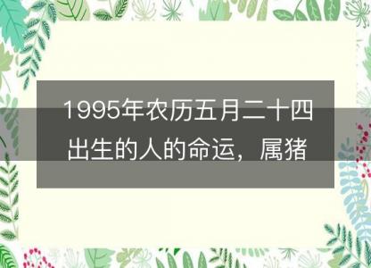 1995年农历五月二十四出生的人的命运,属猪性格特点 八字五行