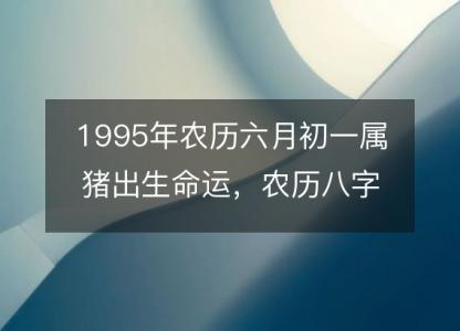 1995年农历六月初一属猪出生命运,农历八字五行缺不缺 性格特点