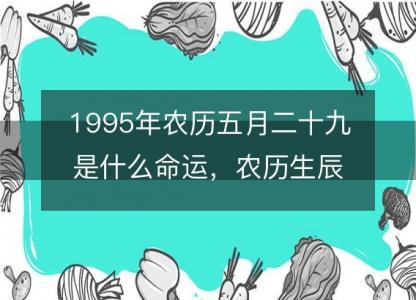 1995年农历五月二十九是什么命运,农历生辰八字五行缺吗 事业婚姻