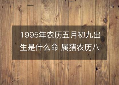 1995年农历五月初九出生是什么命 属猪农历八字五行解析 性格特点