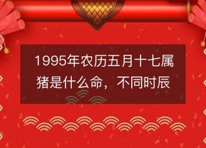 1995年农历五月十七属猪是什么命,不同时辰八字五行查询