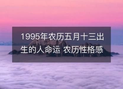 1995年农历五月十三出生的人命运 农历性格感情,事业财运详解