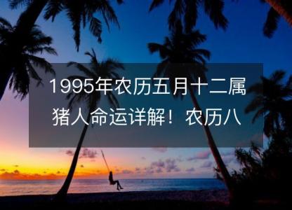 1995年农历五月十二属猪人命运详解!农历八字五行缺什么 婚姻事业