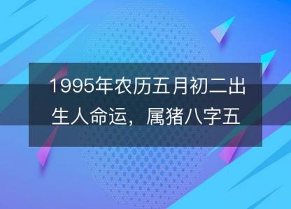 1995年农历五月初二出生人命运,属猪八字五行缺什么 性格感情详解