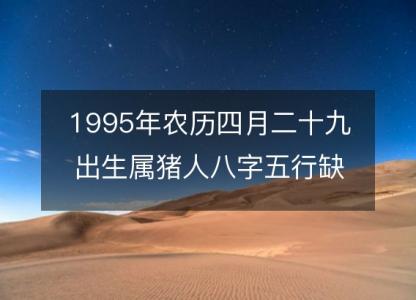 1995年农历四月二十九出生属猪人八字五行缺吗?命运、婚姻、性格、事业财运!