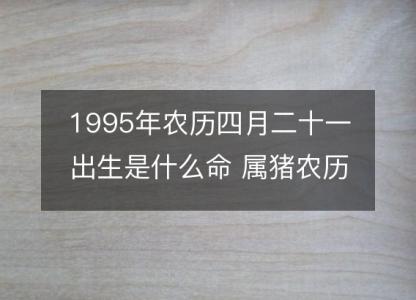 1995年农历四月二十一出生是什么命 属猪农历八字五行解析 性格特点