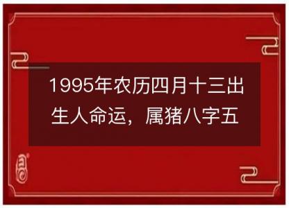 1995年农历四月十三出生人命运,属猪八字五行缺什么 性格感情详解