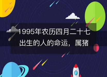 1995年农历四月二十七出生的人的命运,属猪性格特点 八字五行