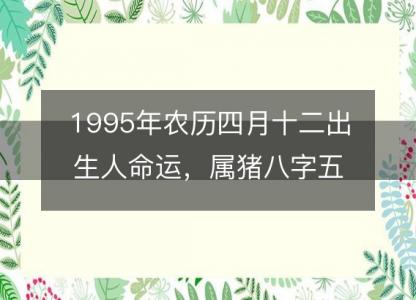 1995年农历四月十二出生人命运,属猪八字五行缺什么 性格感情详解