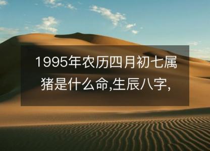 1995年农历四月初七属猪是什么命,生辰八字,五行,命运解析