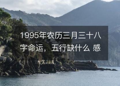 1995年农历三月三十八字命运,五行缺什么 感情婚姻、性格、事业财运
