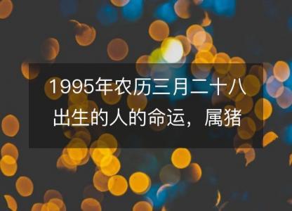 1995年农历三月二十八出生的人的命运,属猪性格特点 八字五行