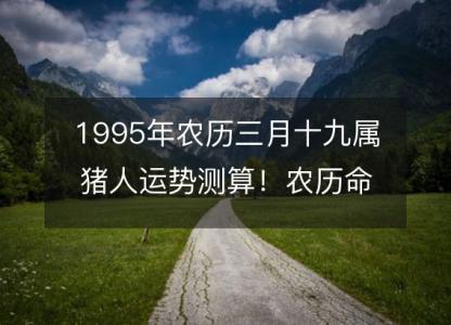1995年农历三月十九属猪人运势测算!农历命运,五行缺什么