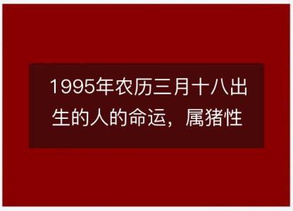 1995年农历三月十八出生的人的命运,属猪性格特点 八字五行