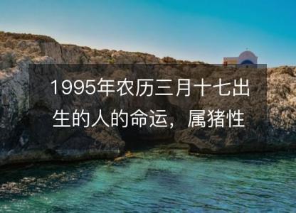 1995年农历三月十七出生的人的命运,属猪性格特点 八字五行
