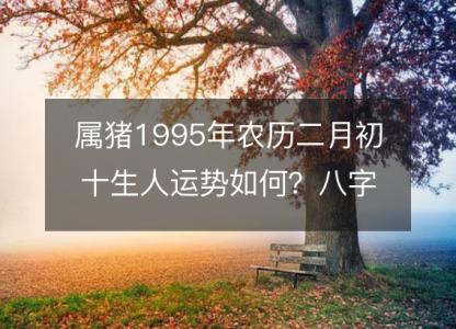 属猪1995年农历二月初十生人运势如何?八字命运五行缺吗!性格详解