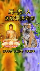 74年属虎腊月运势 74年腊月初三的虎一生的运势是什么意思?
