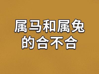 属马和属兔子结婚吉日查询 明年属马女结婚吉日是什么意思?