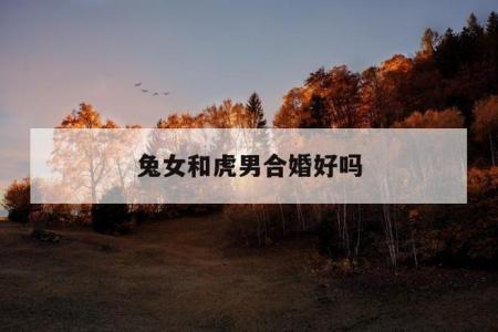 男属虎女兔合婚吗 虎老公兔老婆是什么意思?