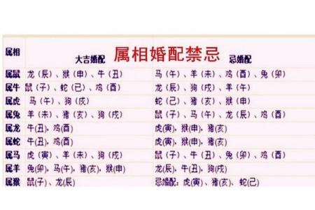 属狗跟属鼠的婚姻配不配 94属狗和96属鼠合吗是什么意思?