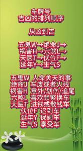 属兔的车牌吉凶号 属兔幸运车牌