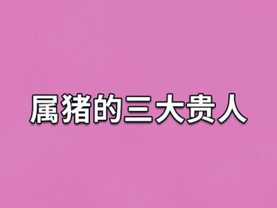 83年属猪的三大贵人是谁 83年猪的贵人是谁是什么意思？